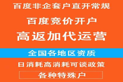 案例分析：百度推广代理助力企业抢占市场